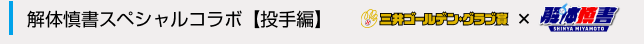 解体慎書スペシャルコラボ 投手編 三井ゴールデングラブ賞×解体慎書